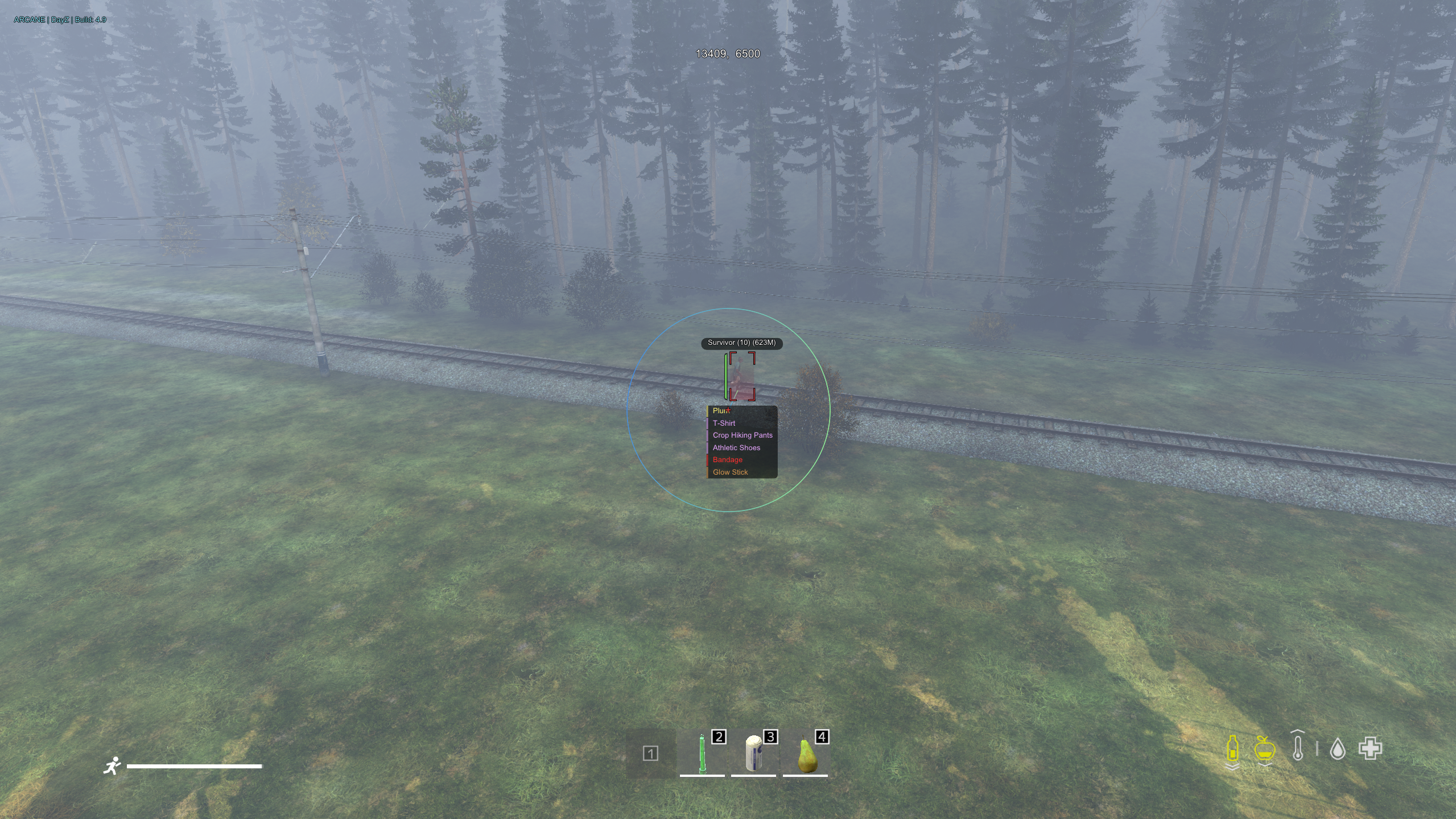 Arcane: DayZ Cheat screenshot