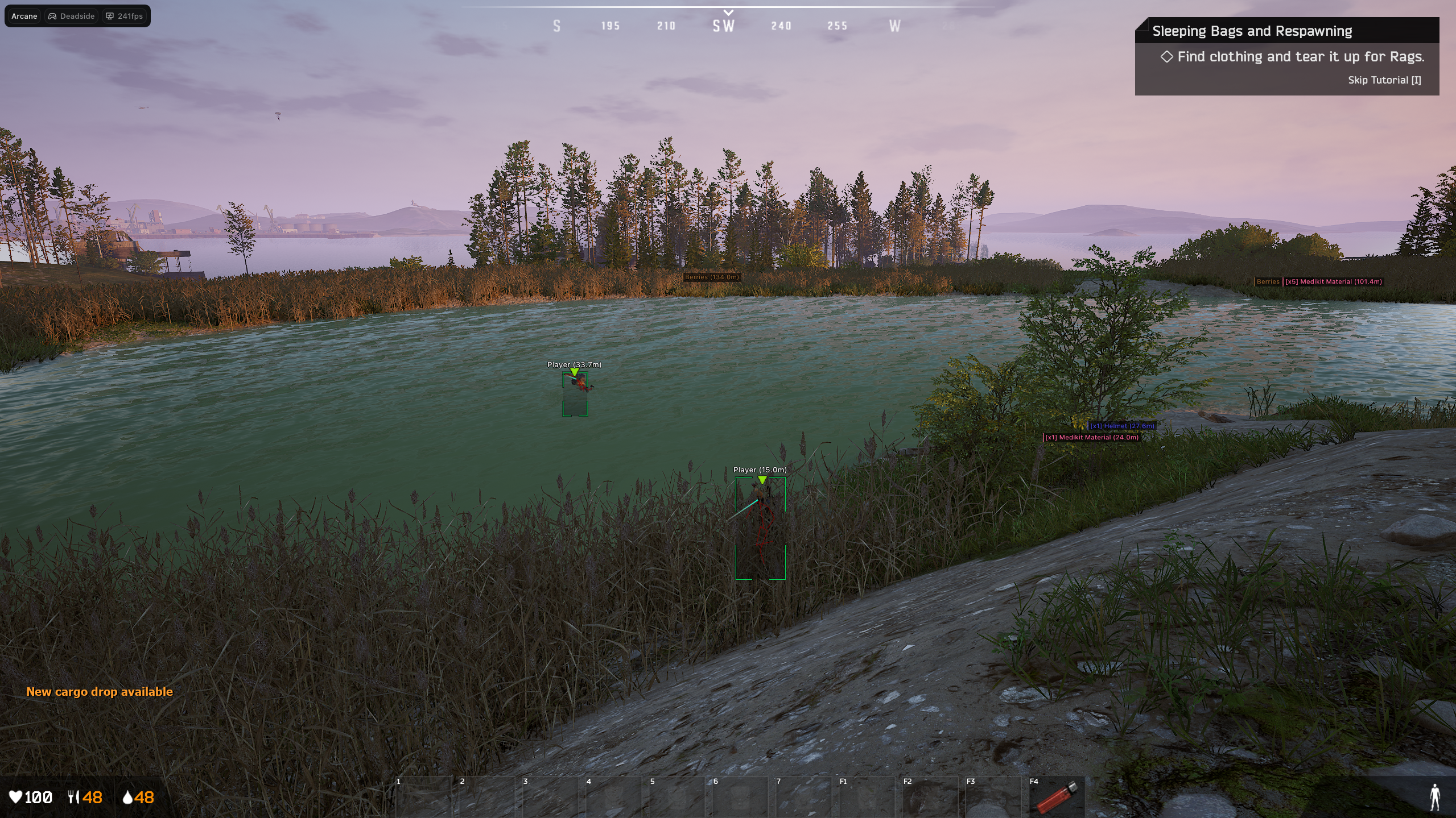 Arcane: Deadside Cheat screenshot